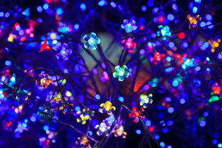 LED灯具一线品牌概览