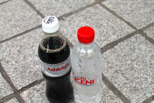 湛江食用油品牌排行第一