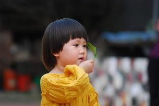 儿童专用的芭比儿童车品牌，为孩子打造梦幻骑行体验